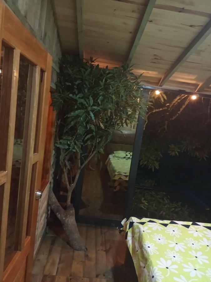 La Casita Del Arbol Guaduas Cundi. Hotel Bagian luar foto
